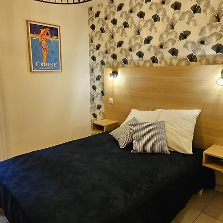 Voiles Blanches-clim-wifi-plage A Pieds Apartment *